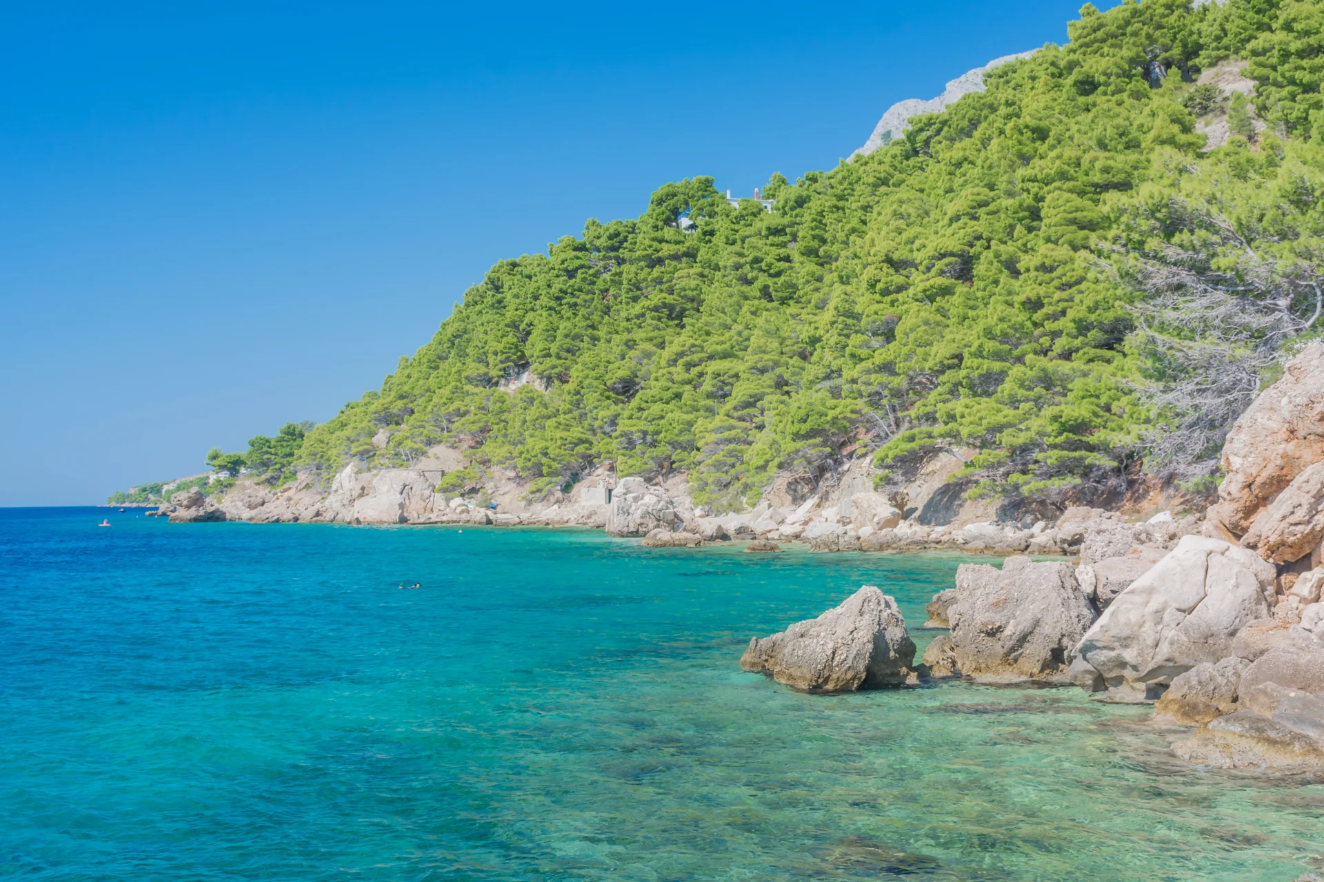 marusici-3