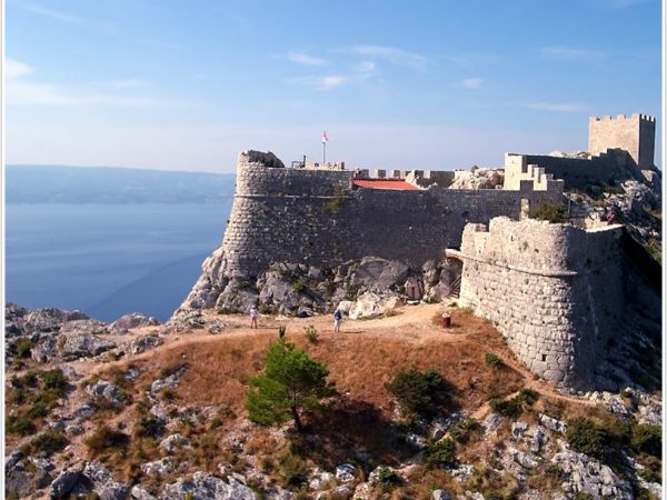 5fortica-omis