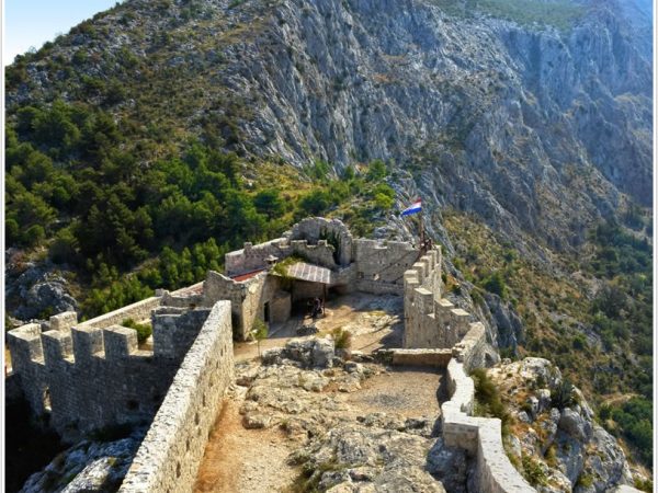 6fortica-omis