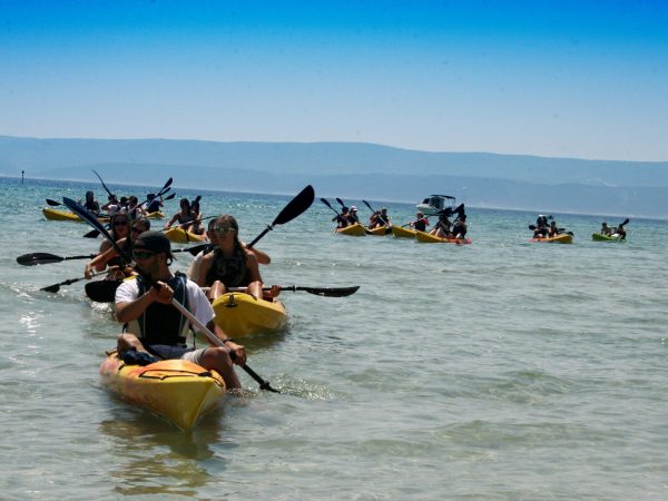 kayaking-adventure-omis (1)